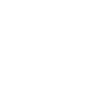 “LH