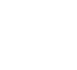 “S/X